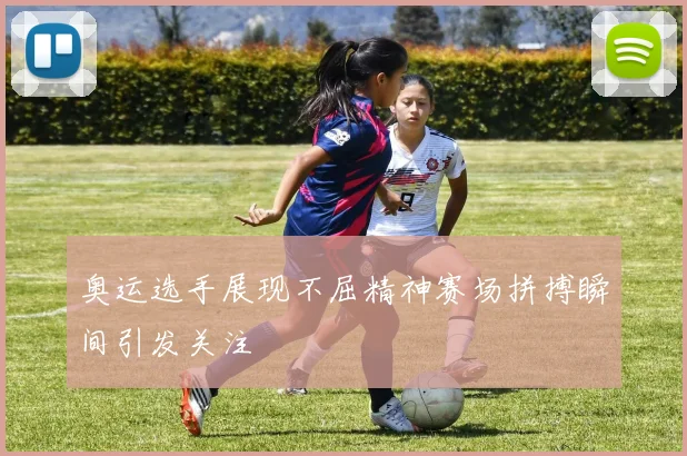 奥运选手展现不屈精神赛场拼搏瞬间引发关注