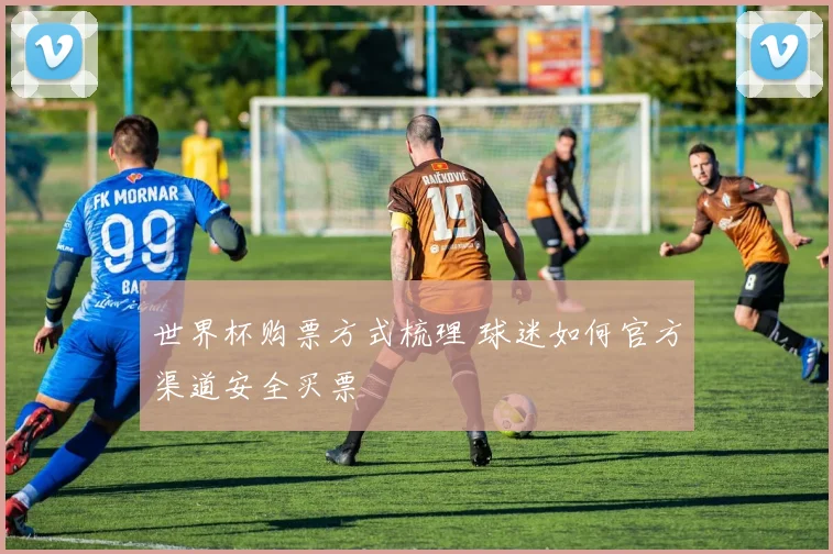 世界杯购票方式梳理 球迷如何官方渠道安全买票