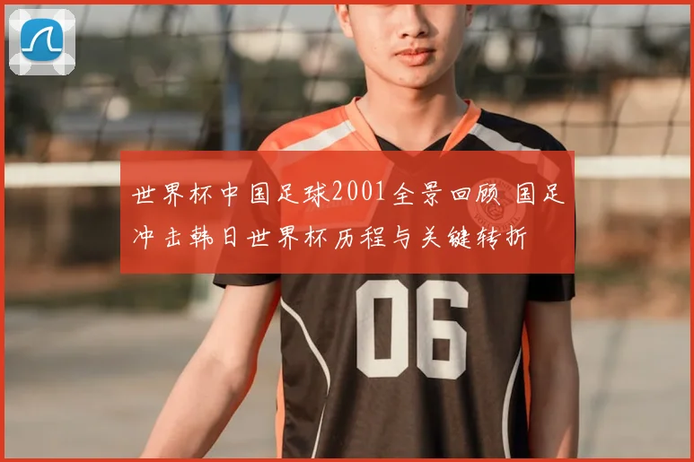 世界杯中国足球2001全景回顾 国足冲击韩日世界杯历程与关键转折