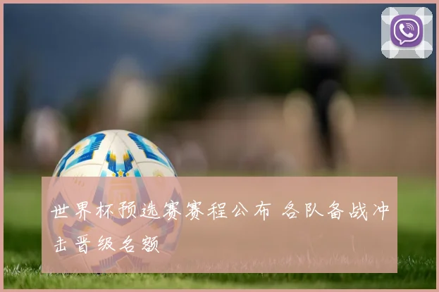 世界杯预选赛赛程公布 各队备战冲击晋级名额