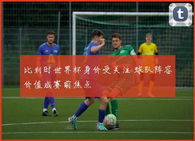 比利时世界杯身价受关注 球队阵容价值成赛前焦点