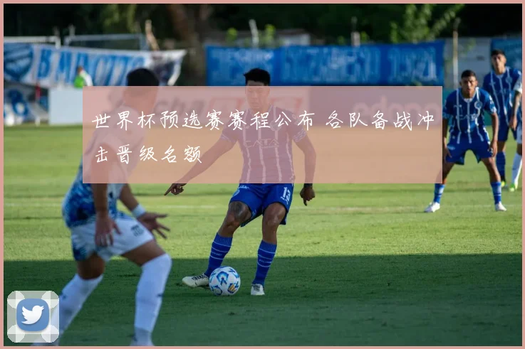 世界杯预选赛赛程公布 各队备战冲击晋级名额